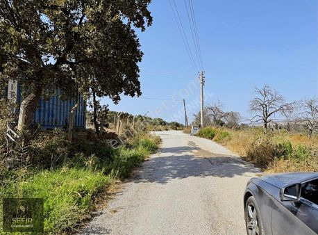 Denize Yakın Çiftlik Yapımına Uygun Yol Cepheli Tarla