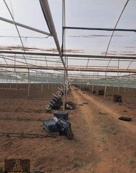 Antalya Elmalı Bozhüyük Mahallesinde Yola Cephe Toplam 40.000m2 Satılık Kapalı Sera