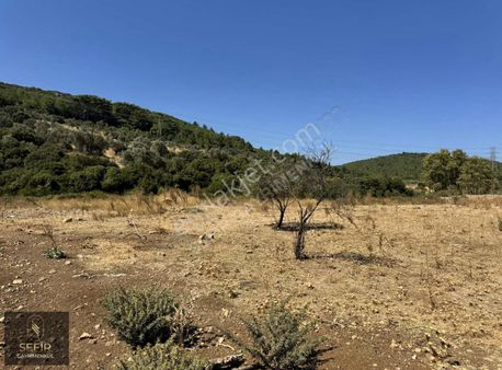 Seferihisar Turgut Köy Merkezine Yakın Yol Cepheli Satılık Tarla