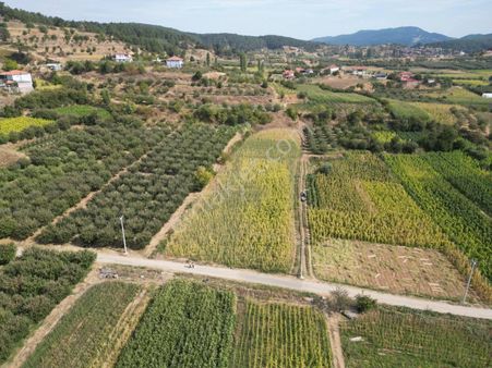 Mirac Emlaktan Buldan Yaylada 4 Dönüm Arazimiz Satılıktır