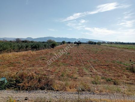 Komutan Emlaktan Bölcek Yolu Üzeri 16 Dekar Verimli Tarla