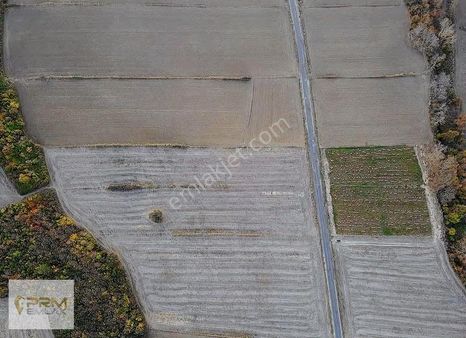 Asfalta Cephe Köprü Manzaralı Arsa