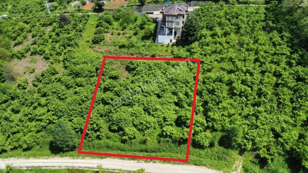Trabzon Ortahisar Bulak'ta Satılık Arazi