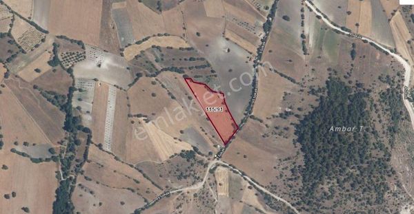 Balıkesir Dursunbey Adaören Mah Satılık Tarla