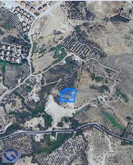 Fiyat Düştü Kuşadası Davutlarda Kat İrtifakı Kurulmuş 167m2 Arsa