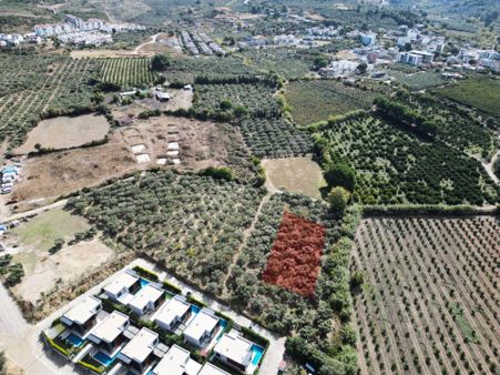 Kusadası Davutlarda 915 M2 Imarlı Yatırıma Uygun Arsa