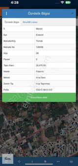 Tömük'te İmara Yakın Satılık Dikenli Limon Bahçesı.