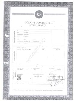 Samsun Kavak Boğaziçinde Satılık Arazi