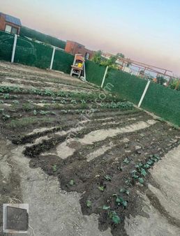 Royal Işık Ofisten Harmandalı Köyünde Harika Hobi Bahçesi