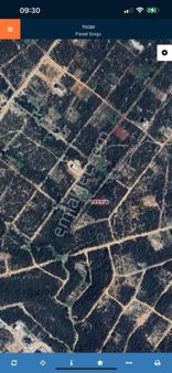 Didim Bozseki’de Satılık 300 Metre 20:40 İmarlı Villa Arsası