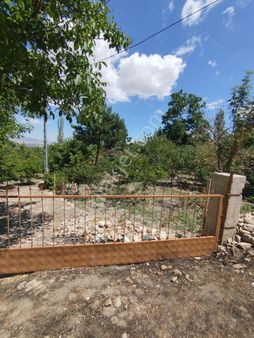 Güvenay – Çorum Kılıçören Köyü – 1029 M² Tek Tapu Satılık Bahçe