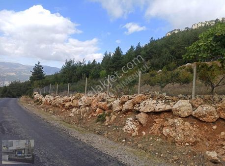 Asfalta Sıfır Doğayla İç İçe 3.992 M2 Şeftali Bahçesi