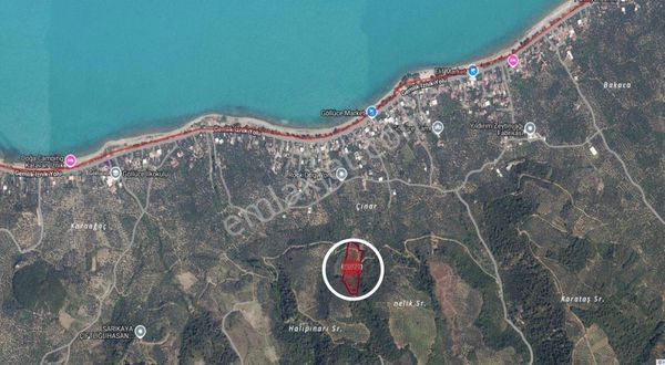 Bursa, İznik, Göllüce Satılık Tarla