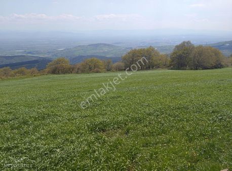 Karacabey Yarış'ta Harika Konumda Tarla