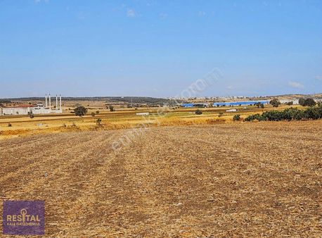 Doğanköy,de İmar Sınırında Satılık Tarla