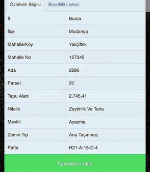 Mudanya Yalıçiflik Köyünde Satılık Zeytinlik Ve Tarla