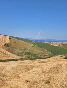 Çanakkale, Gelibolu, Güneyli Satılık Tarla