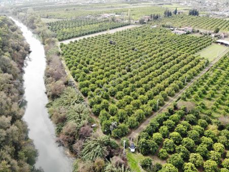 Muğla Ortaca Akıncı Da 18 Dönüm Tarla Satılık