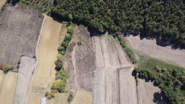 Remax Palastan Kandıra Yusufça Köyünde Anayola 1 Parsel Tarla