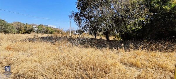 Başkarcı Vali Konağı Yakını Köşe Parsel Satılık 413 M² Arsa