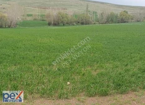 Sorgun Merkez Mükremin Mahallesi Tek Tapulu