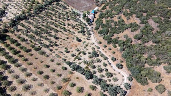 Tire Satılık Tarla 11.400 M2 Elektrk Ve İki Adet Suyu Mevcut 2 Lik