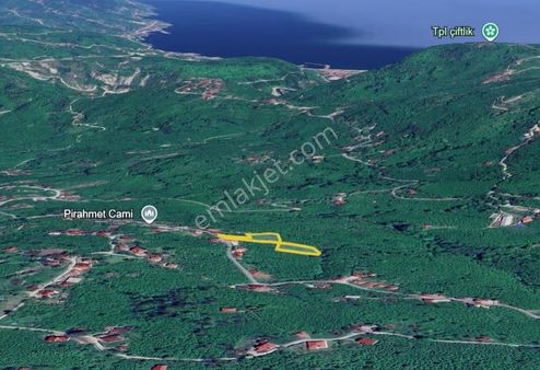 Perşembe Saray Mahallesinde 2.922 M2 Ev Yapımına Uygun Arsa