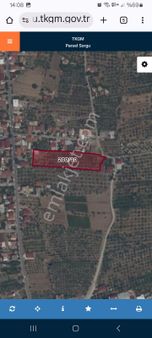 Burhaniye Feslekte Muhteşem Tarla