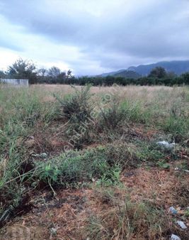 Dalaklı Mahallesinde Villa Yapımına Uygun 220 + 220 M2 İmarlı Elektrik Su Sorunu Olmayan Arsa