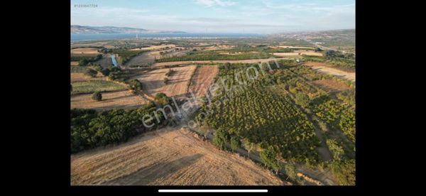 Çanakkale Labseki Kangırlı Satılık Tarla
