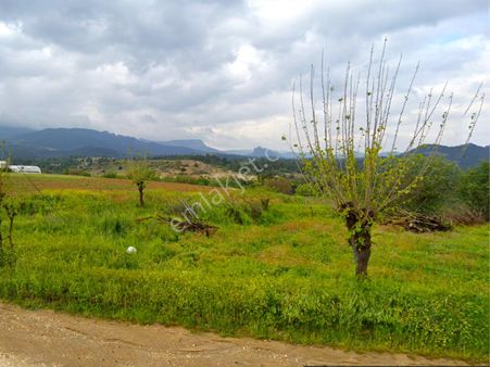 Bilecik Söğüt Yakacıkta Yatırımlık Satılık 2.083 M² Uygun Arsa