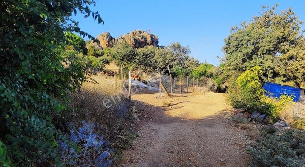 Uzay Emlaktan Tarla Fiyatına Yüzde 80 Köy İmarlı Arsa