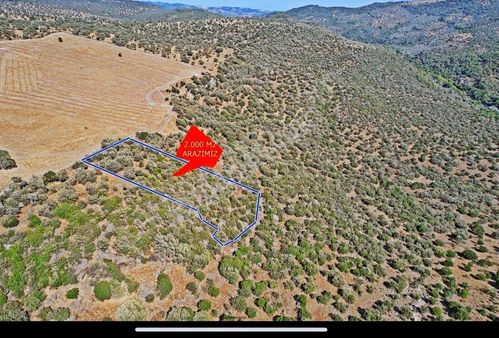 Uzay Emlaktan Çanakkale Ayvacık Tabaklarda Köye Yakin Tarla