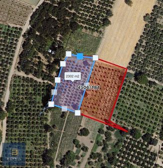 Beynil'den Çektik Köy'de Satılık Meyve Bahçesi