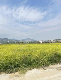 Manisa Alaşehir Ilıca Mahallesi Satılık Arsa