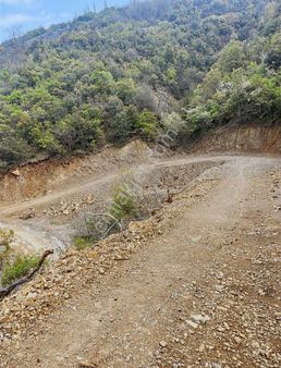 Manisa Alaşehir Kozluca Köyü Satalık Kiraz Ve Ceviz Bahçesi