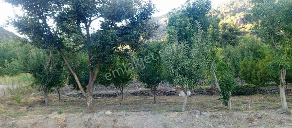 Yatırımlık Bbahce Arayanlara