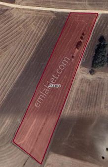 Yürükakçayırda Acil Satılık Tarla