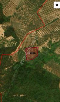 Ena Group Bursa Mudanya Akköy'de 3800 M2 Satılık Bahçe