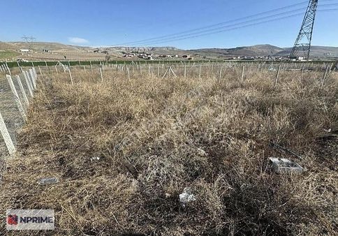 Nprime'dan Acil Satılık Temelli'de Hobi Bahçesi