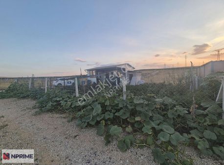 Nprime'dan Acil Satılık Temellide Hobi Bahçesi