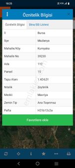 #satılık# Kumyaka Mahallesi Satılık Zeytinlik