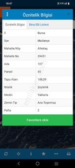 #satılık# Mudanya Altıntaş Mahallesi Taş Duvarı Örülmüş Deniz Manzaralı Zeytinlik