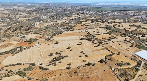 Rızai Taksim Sözleşmesi Yapılmış Tapuya İşlenmiştir Satılıktarla