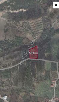 Ena Group Bursa Mudanya Çepni'de 2350 M2 Satılık Bahçe