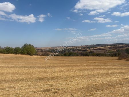 Hicret Emlaktan Malkara Yeni Mahalle Fırsat Yatırımlık Tarla