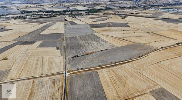 Babaeski Karamesutluda 7500 M2 Fırsat Tarla