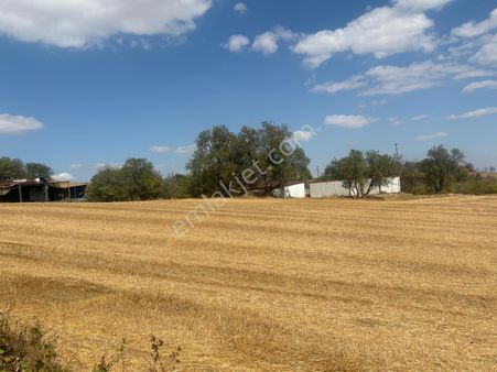 Hicret Emlaktan Malkara Yeni Mahalle Fırsat Yatırımlık Tarla