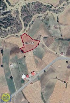 İsmail Yıldırım Emlak'tan Yeniyapanda 5.147 M2 Satılık Zeytinlik