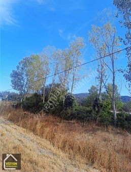 Bolu Göynük Ana Yola Komple Cephesi Olan Arsa İcinde Agaclar Var